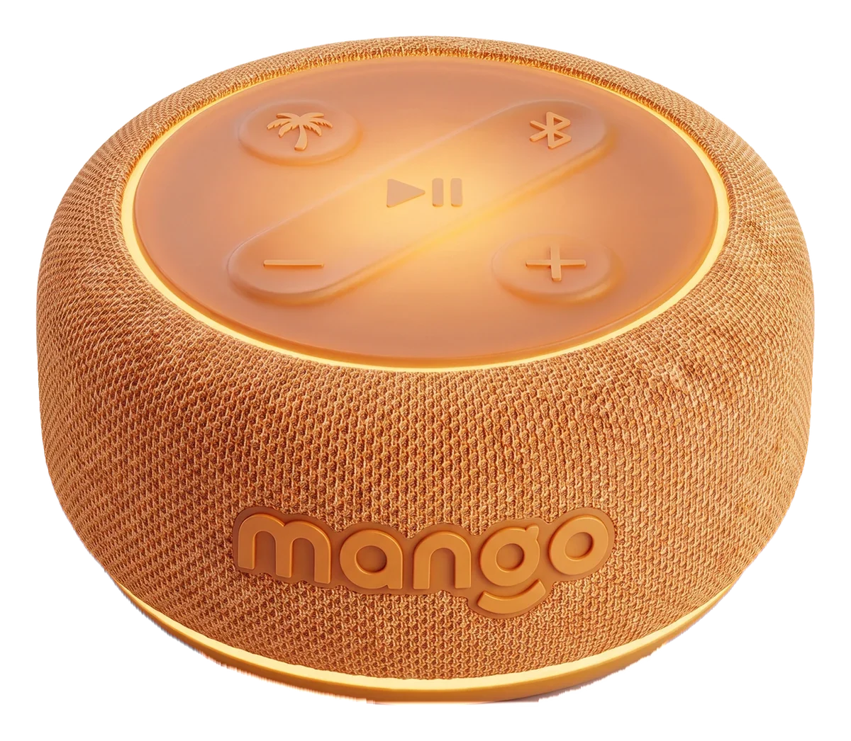 Mango in Amber